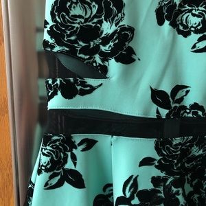 Trixxi Green Velvet Floral Dress!